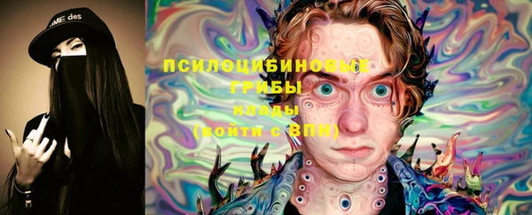 мяу мяу мука Осташков