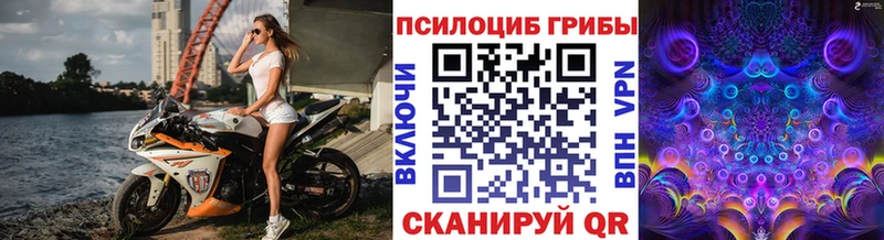 Псилоцибиновые грибы Psilocybe  Купить закладки  Радужный 